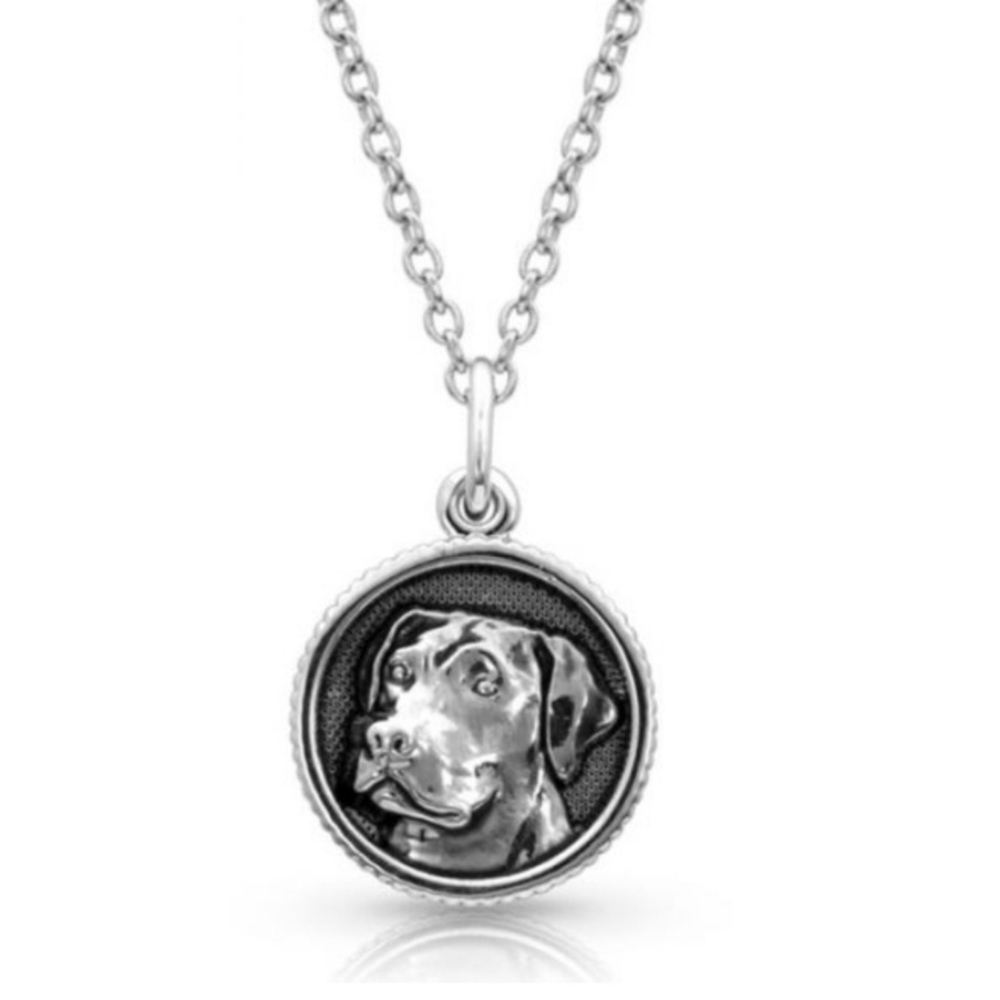 3 for $25 CLEARANCE - Montana Silversmiths LABRADOR Necklace